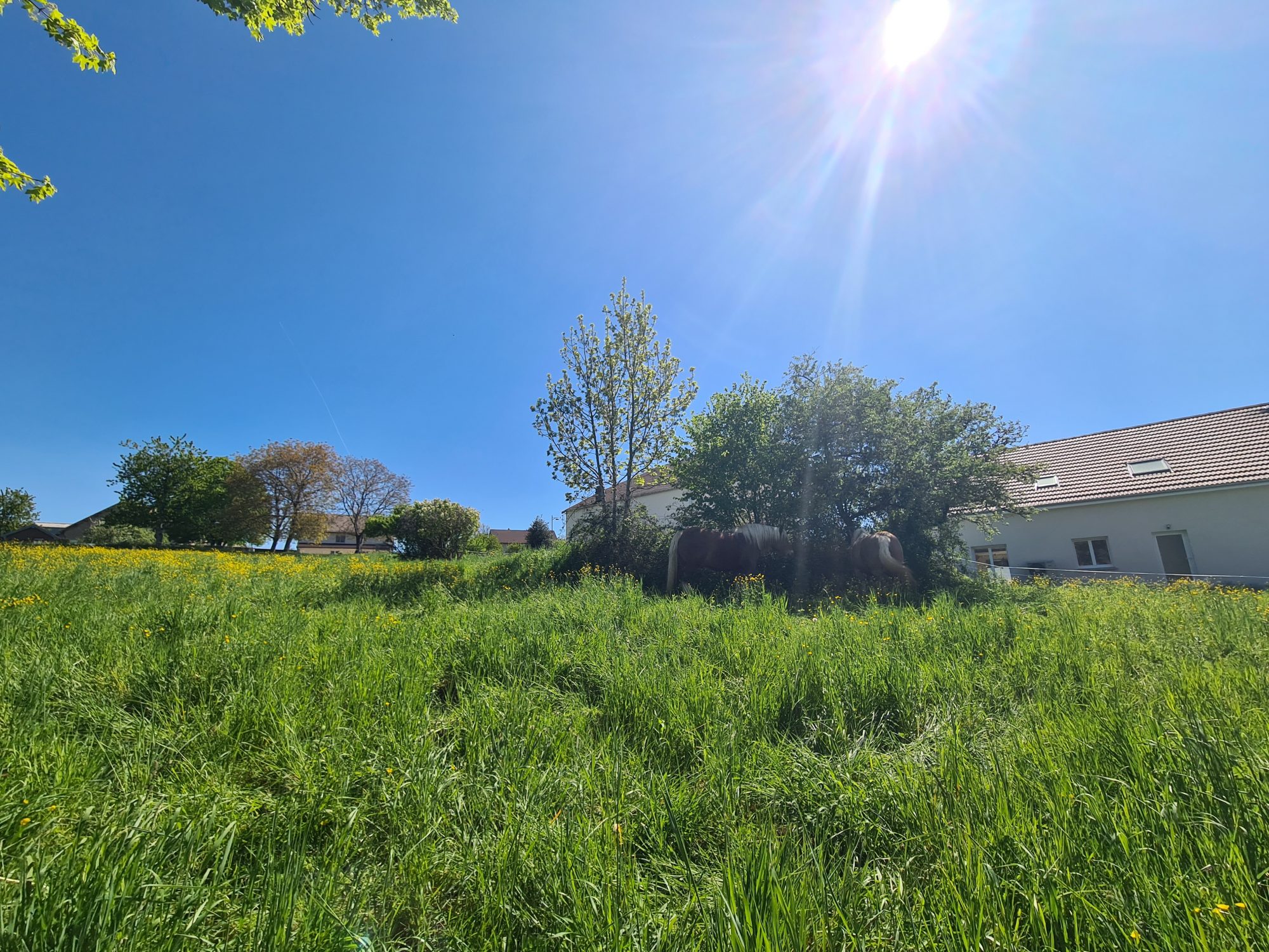 Terrain 887 m² · à Tarcenay-Foucherans · 887 m² · 79 385 €