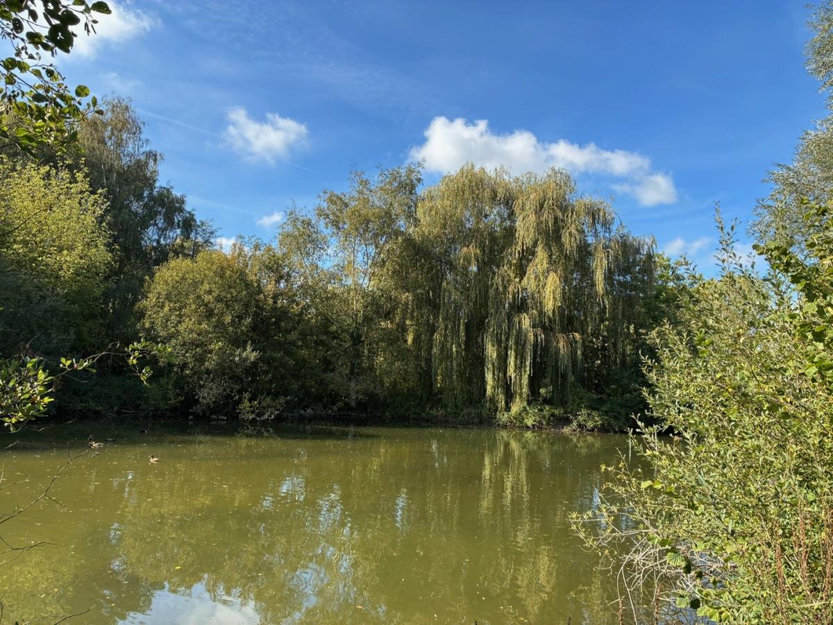 Terrain 9528 m² · à Estrébœuf · 149 100 €