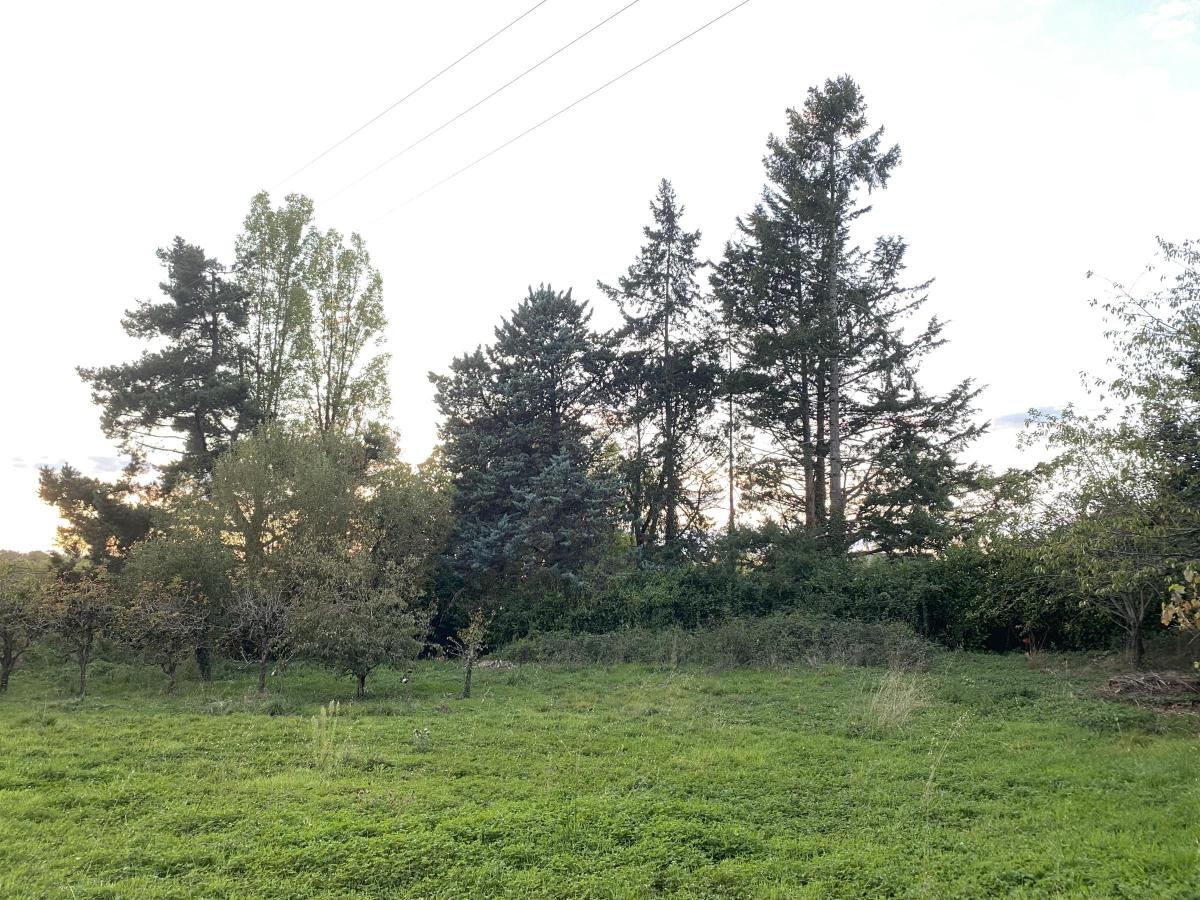 LONGUENEE EN ANJOU · à Longuenée-en-Anjou · 102 284 €