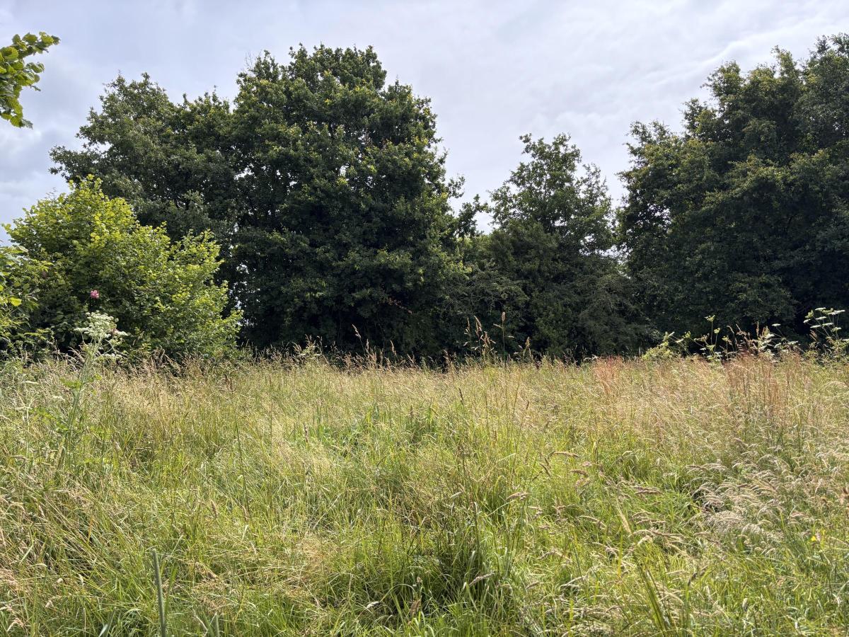 Réseau des notaires · à Notre-Dame-des-Landes · 86 000 €