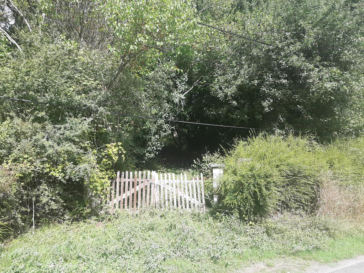 Réseau des notaires · à Saint-Épain · 10 000 €