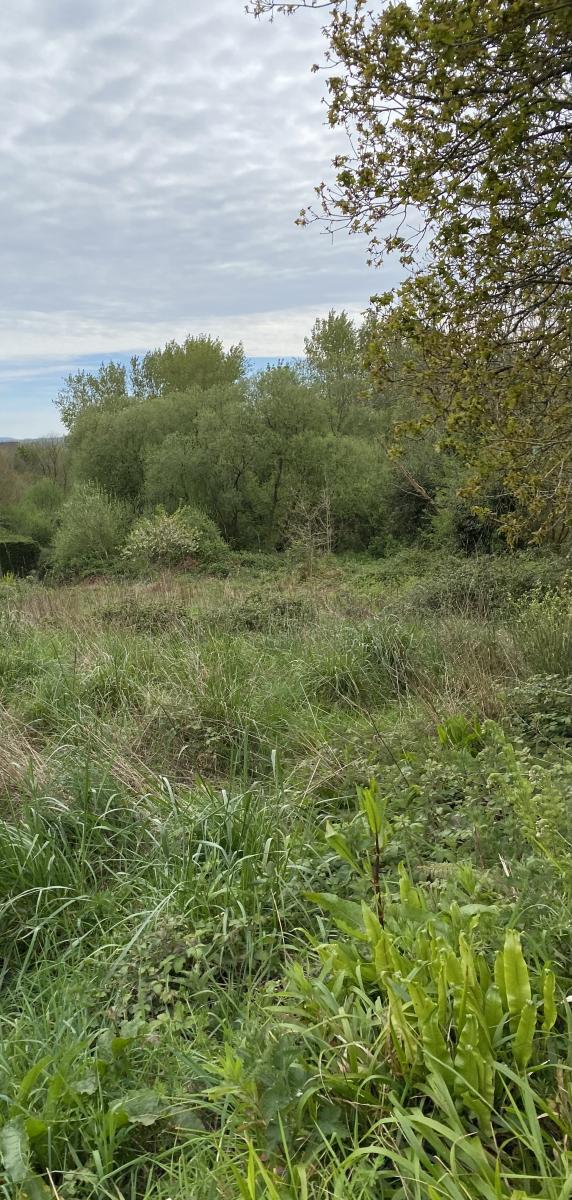 Réseau des notaires · à Loperhet · 17 400 €