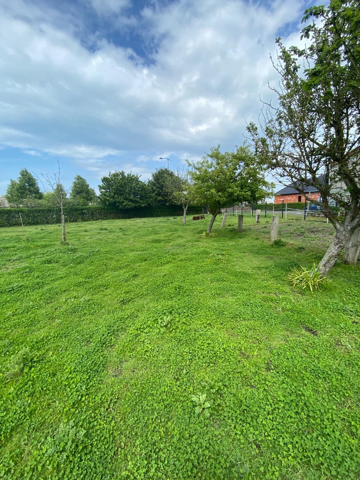 Réseau des notaires · à Coquelles · 99 640 €