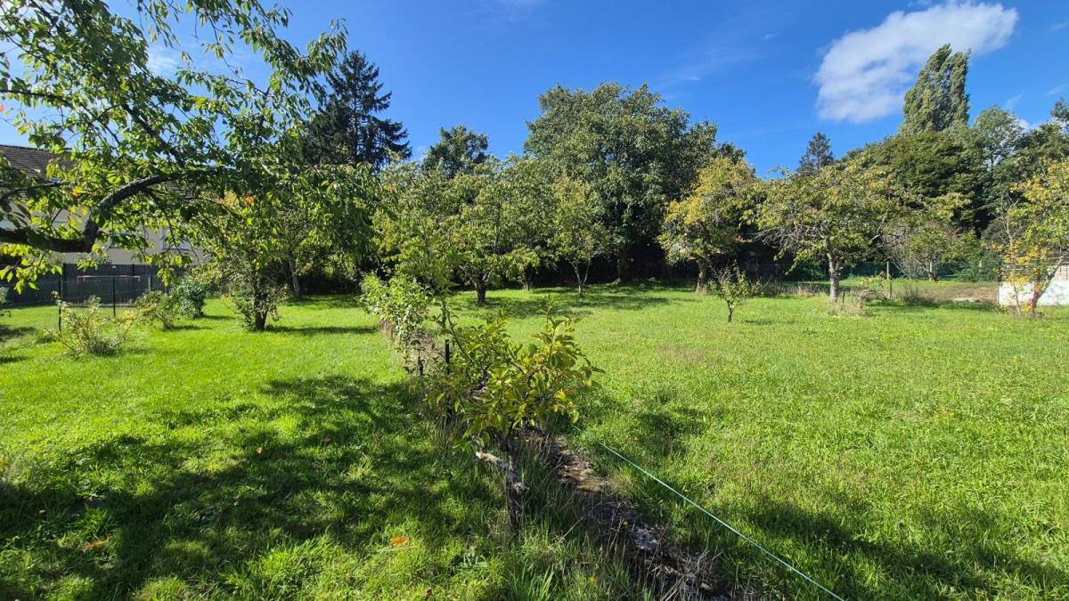 Terrain 1000 m² · à Montigny-sur-Loing · 1 000 m² · 120 000 €