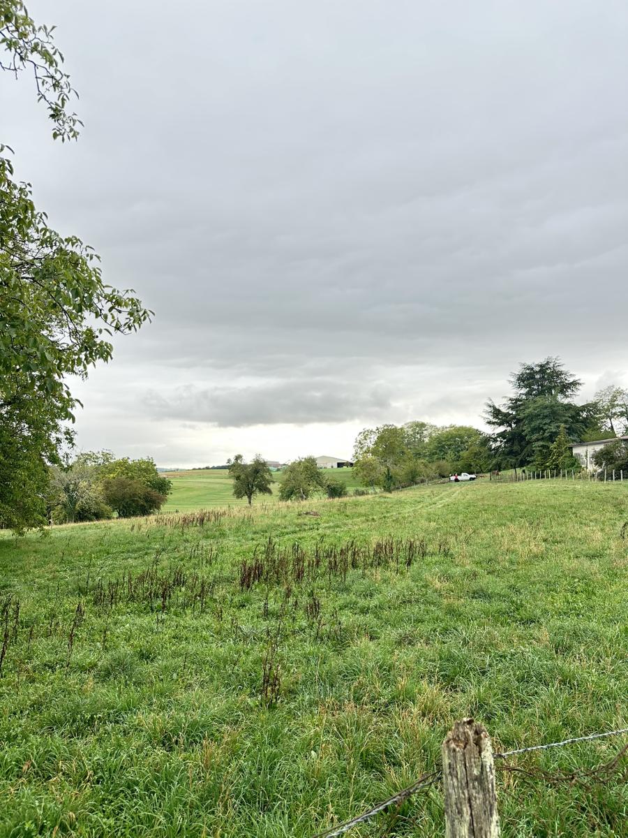 Parcelle de terrain à bâtir avec sa vue dégagée · à Placey · 80 143 €