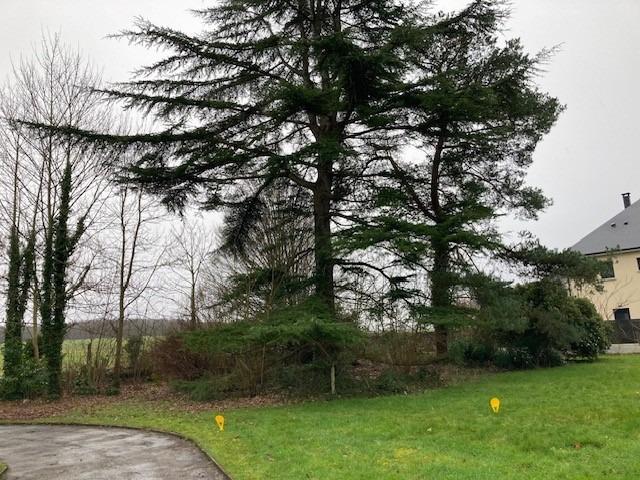 SAINT PIERRE DE MANNEVILLE - Terrain à bâtir de 700 m² · à Saint-Pierre-de-Manneville · 75 000 €