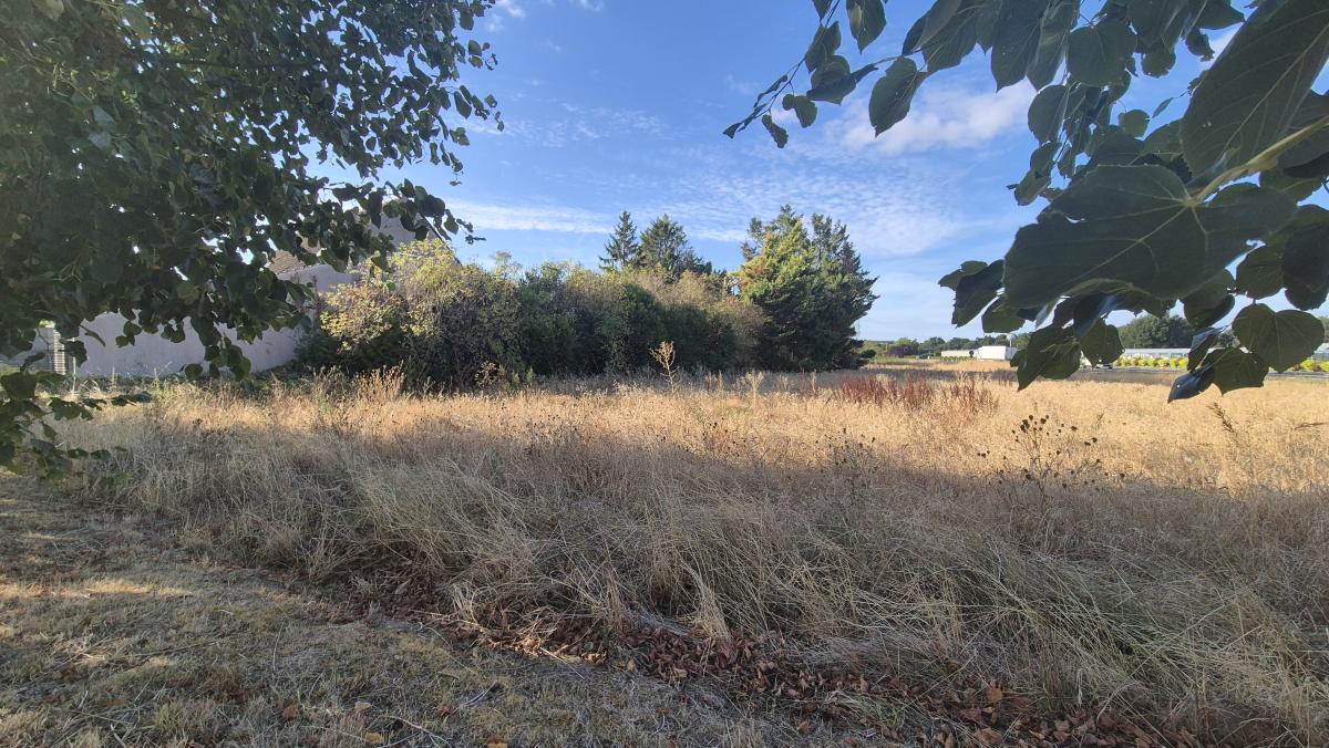 Réseau des notaires · à Grez-sur-Loing · 66 000 €