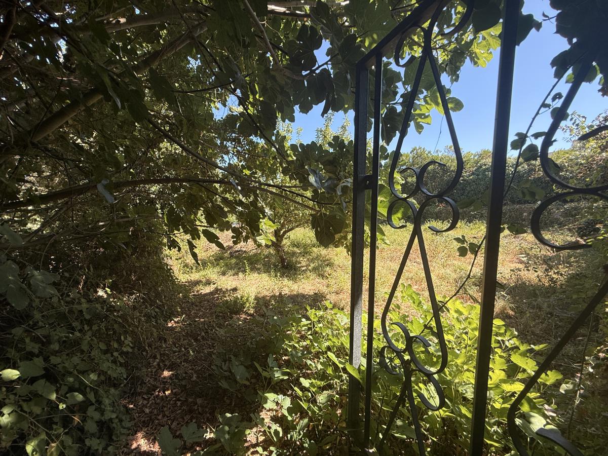 Terrain à bâtir à l'Île-aux-Moines - 506m² · 396 800 €