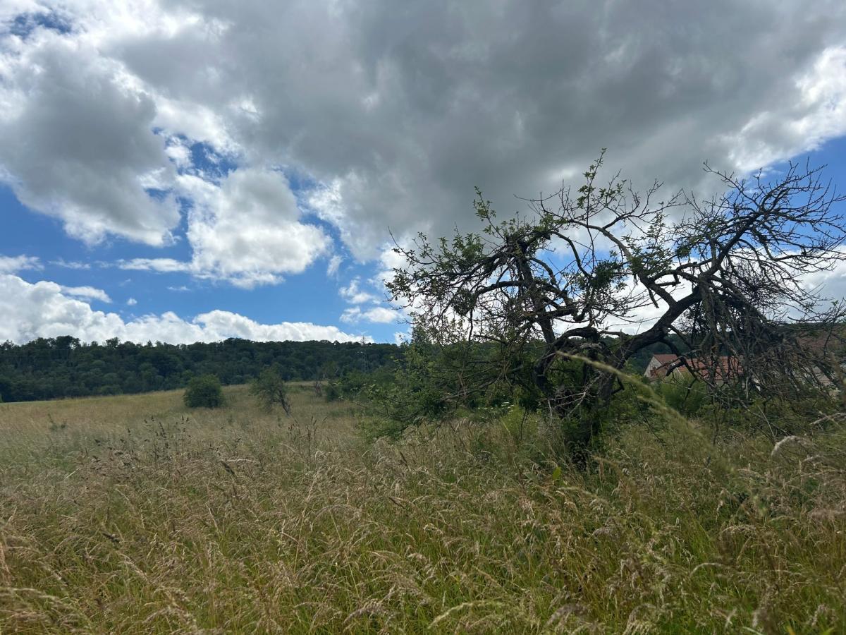 Terrain 3349 m² · à Dormans · 15 000 €