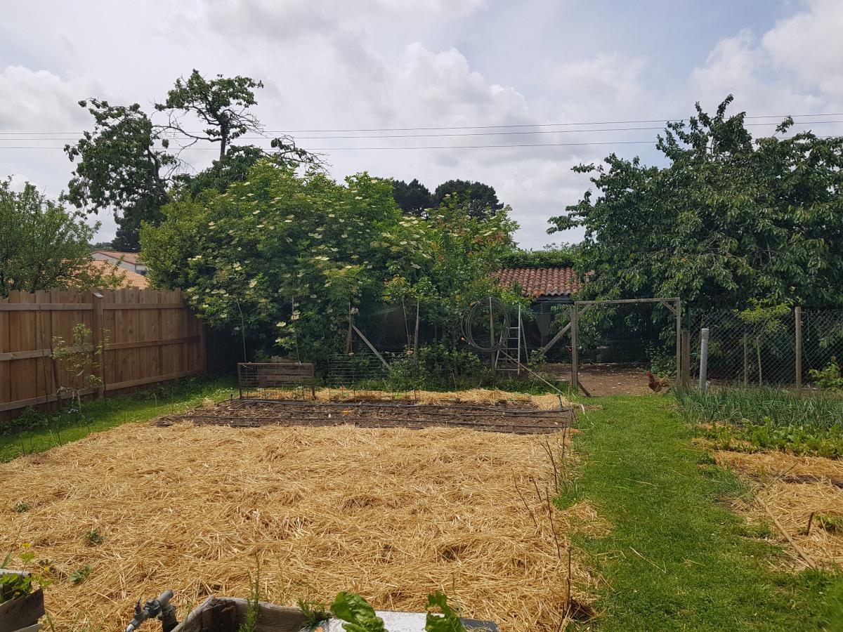 Terrain 621 m² · au Pallet · 128 400 €