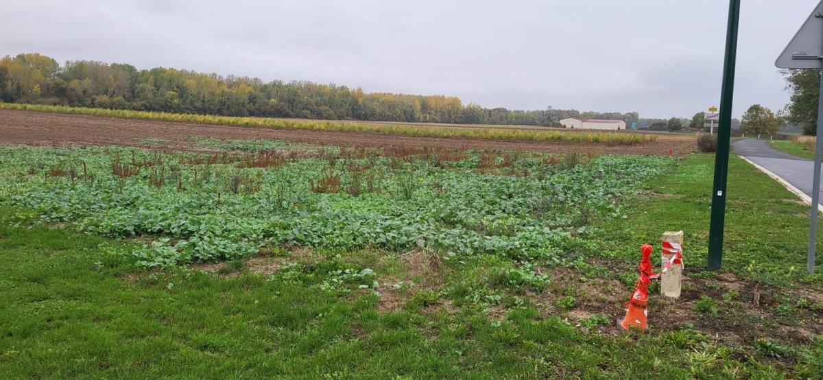 Terrain 900 m² · à Vouzy · 40 000 €