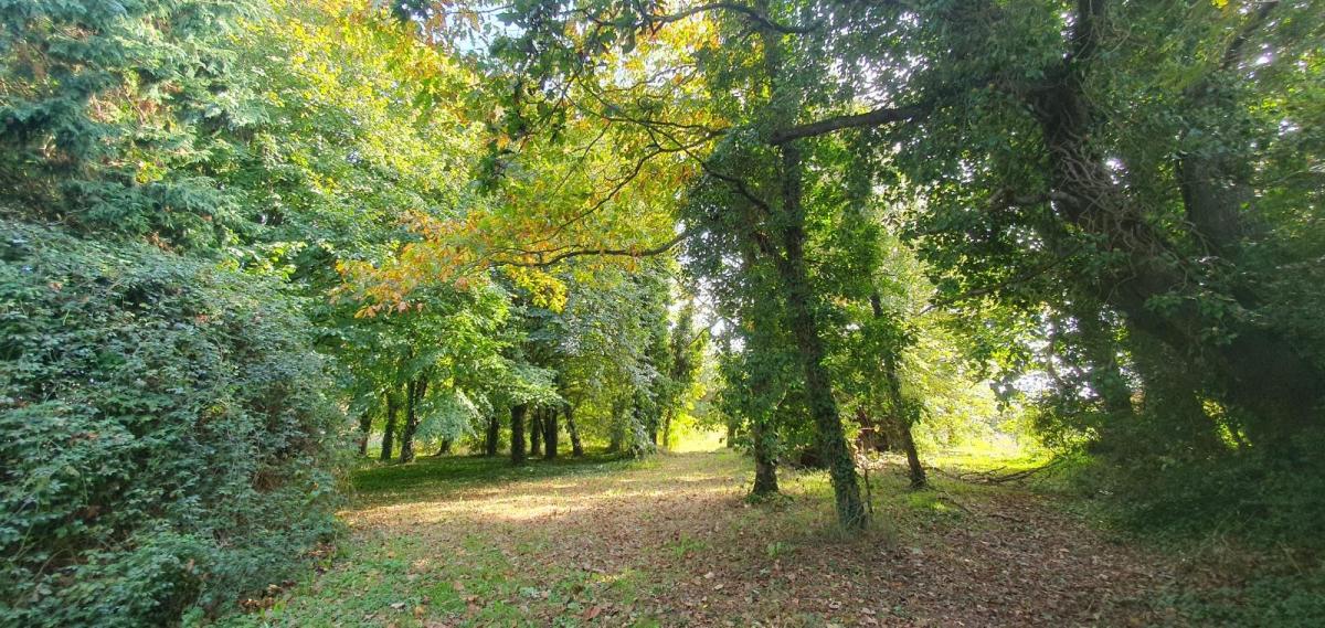 Maison 6 pièces 258 m² · à Lanildut · 258 m² · 530 400 €