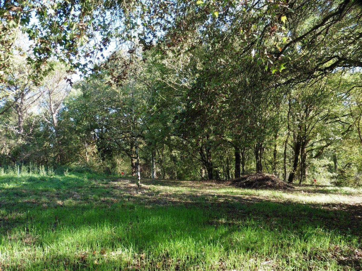 Terrain 314 m² · à Riaillé · 33 600 €