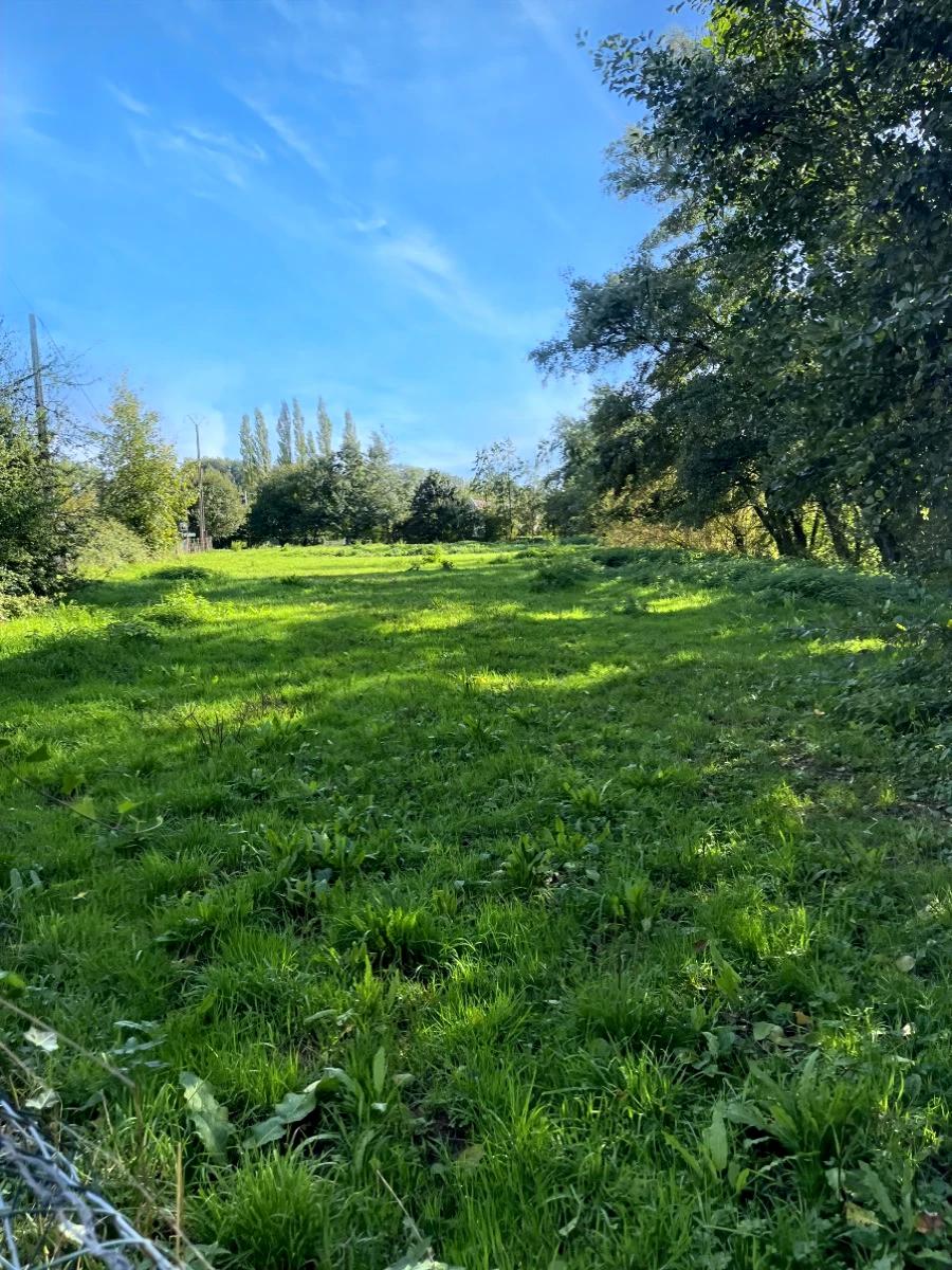 Exclusivité VIEIL HESDIN, terrain à usage de pâture · à Vieil-Hesdin · 14 990 €