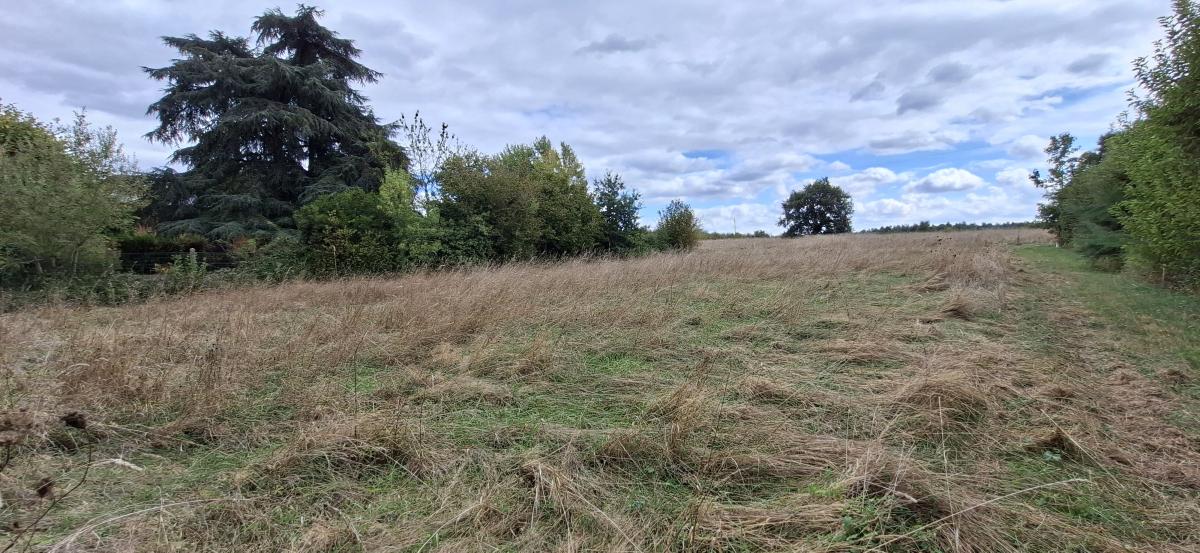 Terrain 602 m² · à Feneu · 88 200 €