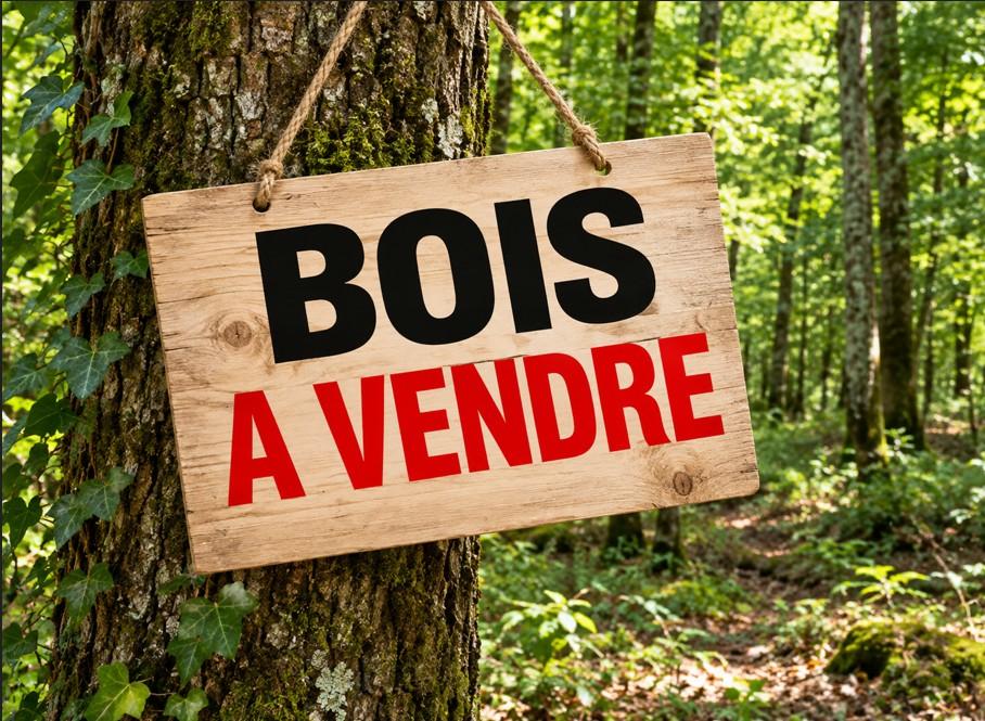 Terrain 18835 m² · à Pontivy · 14 500 €