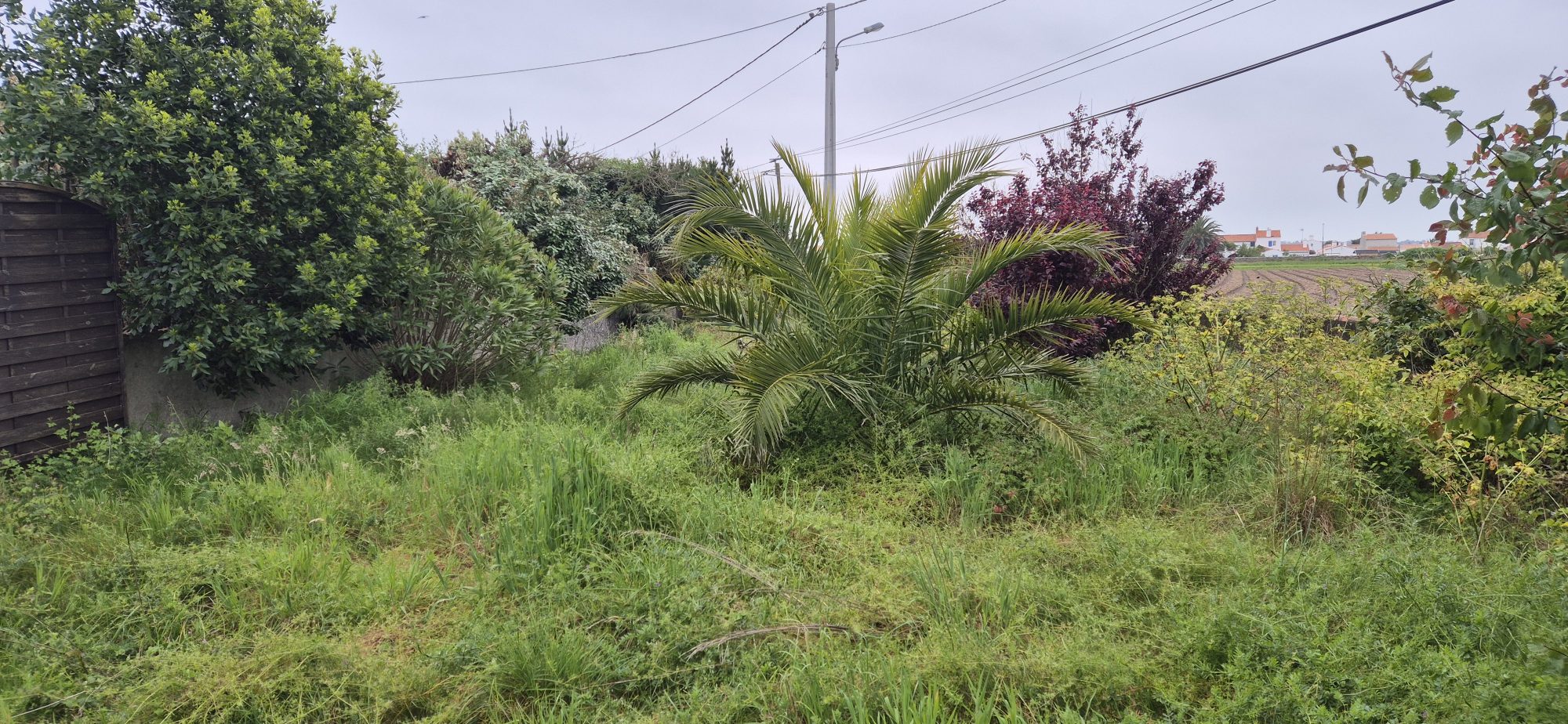 Terrain 285 m² · à Noirmoutier-en-l'Île · 285 m² · 114 800 €