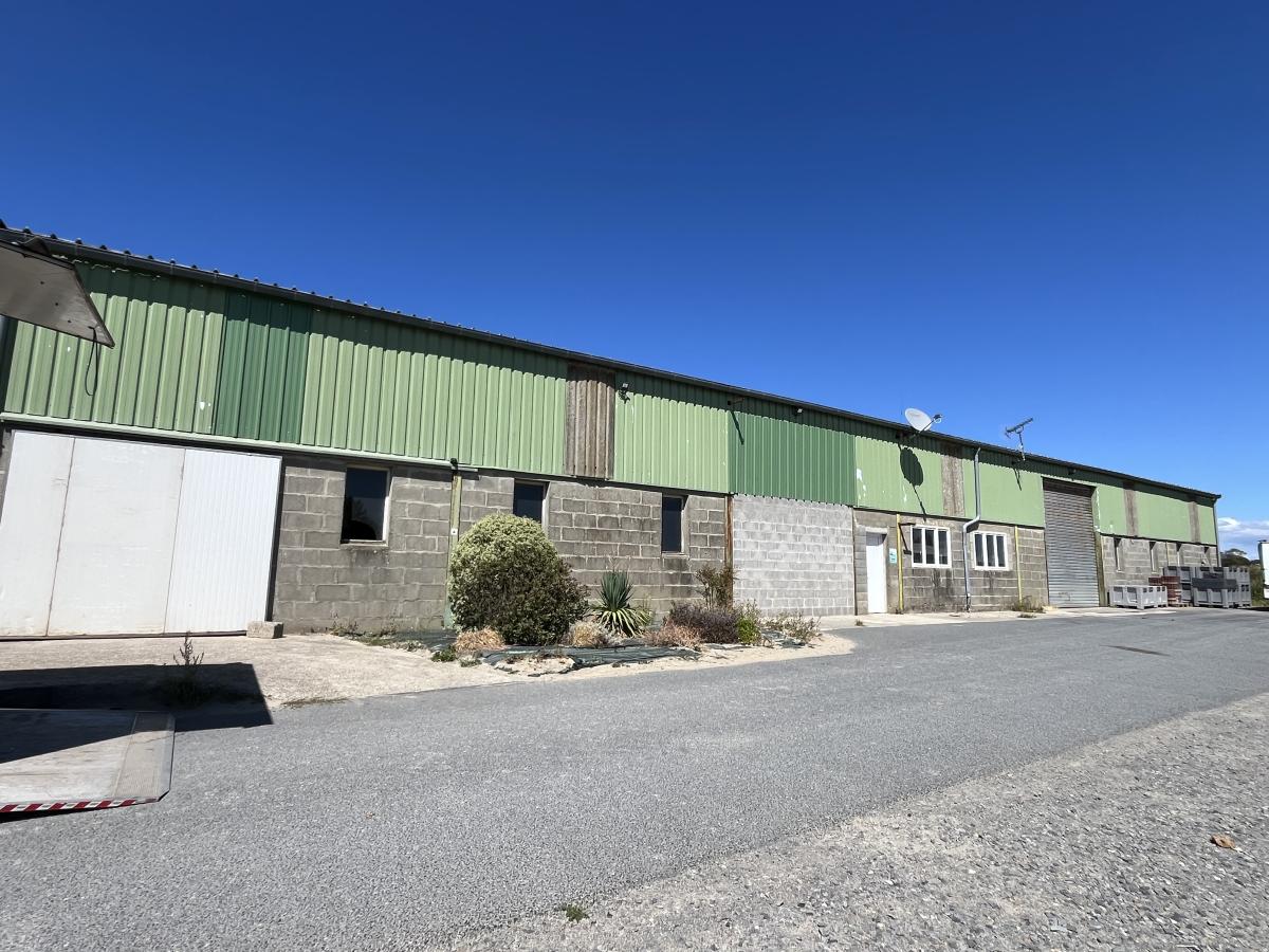 LINGREVILLE · à Tourneville-sur-Mer · 1 300 m² · 500 000 €