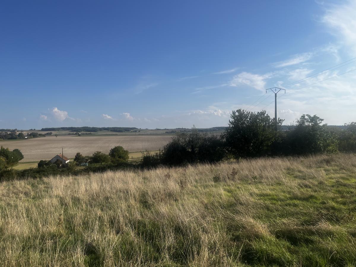 Terrain 8789 m² · à Marigny-Marmande · 33 600 €