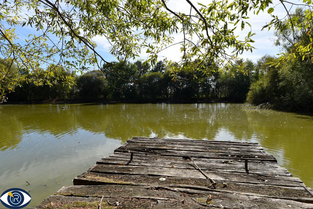 Terrain 29107 m² · à Vaiges · 69 000 €
