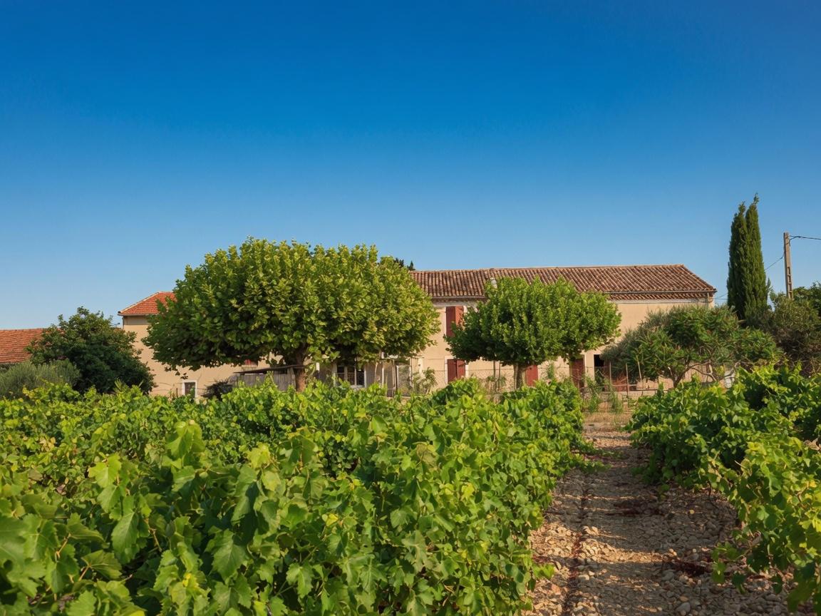 Maison 13 pièces 292 m² · à Tulette · 292 m² · 520 000 €