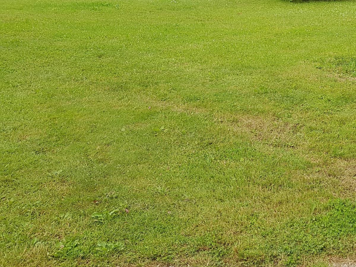 Terrain 3046 m² · à Aubérive · 99 640 €