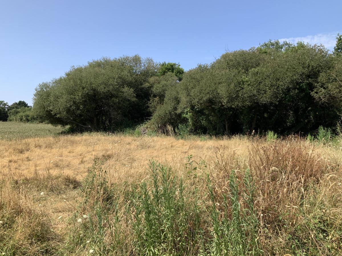 Réseau des notaires · à Arzon · 299 900 €