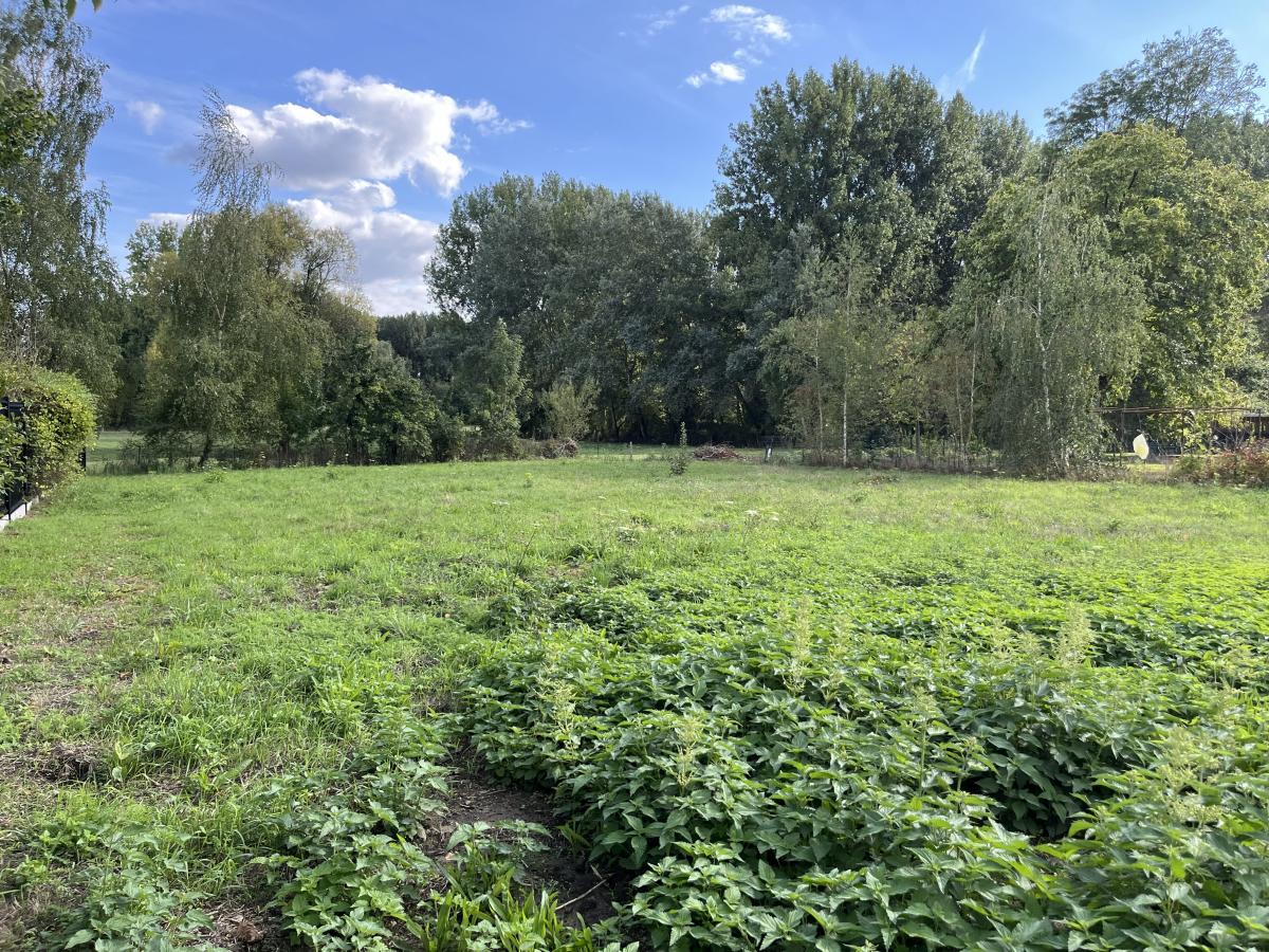 Réseau des notaires · à Saint-Amand-les-Eaux · 136 000 €
