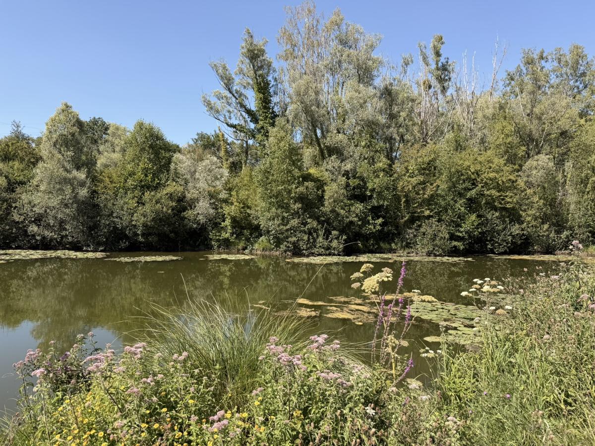 Réseau des notaires · à Argoeuves · 70 000 €