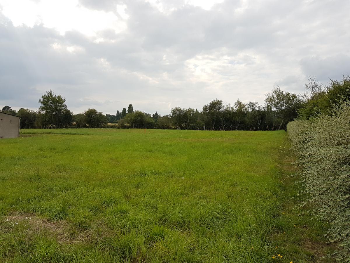 Réseau des notaires · à Bouzy-la-Forêt · 53 300 €