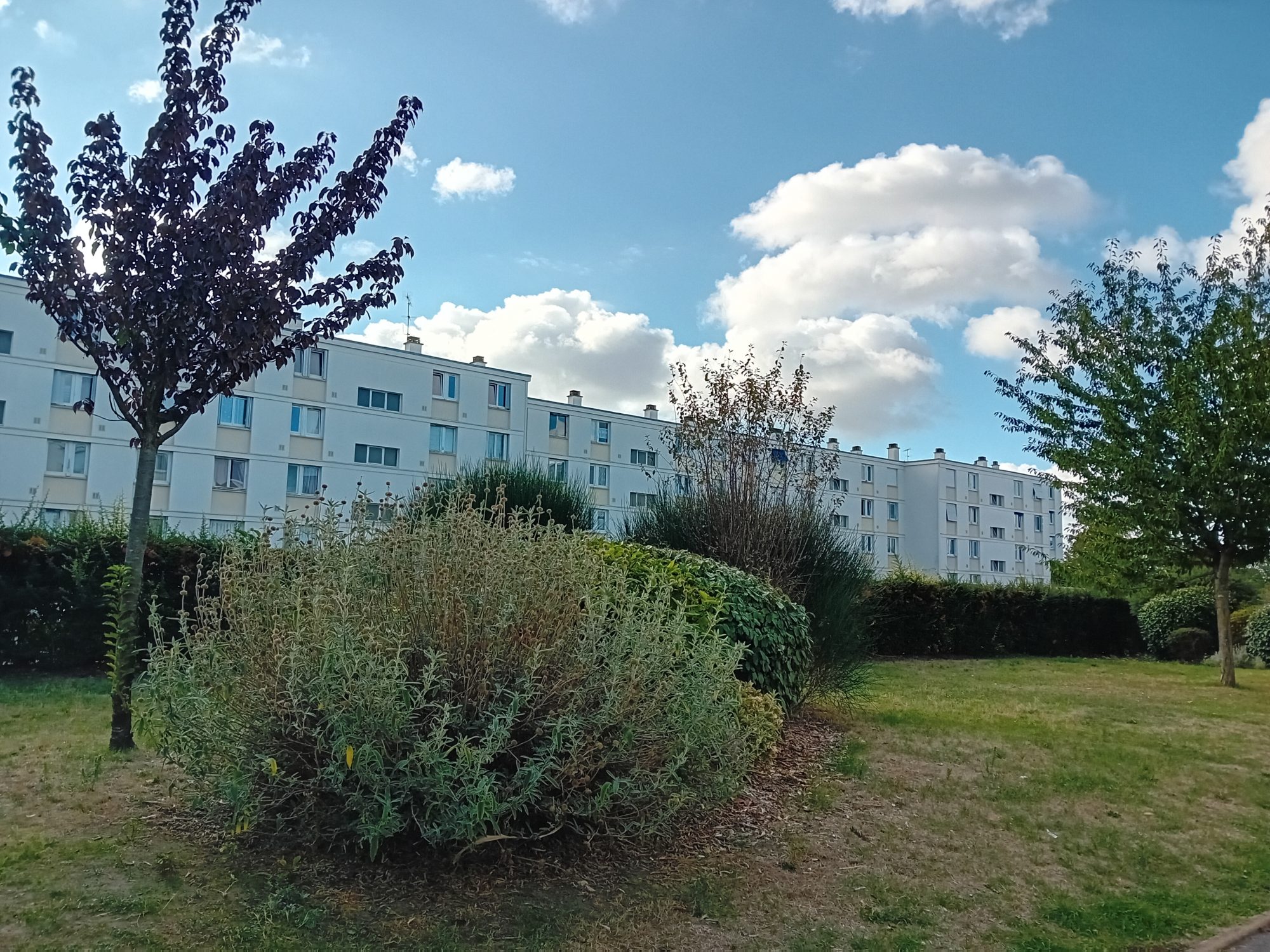 Appartement 4 pièces 68 m² · à Taverny · 67,5 m² · 1 352 €/mois