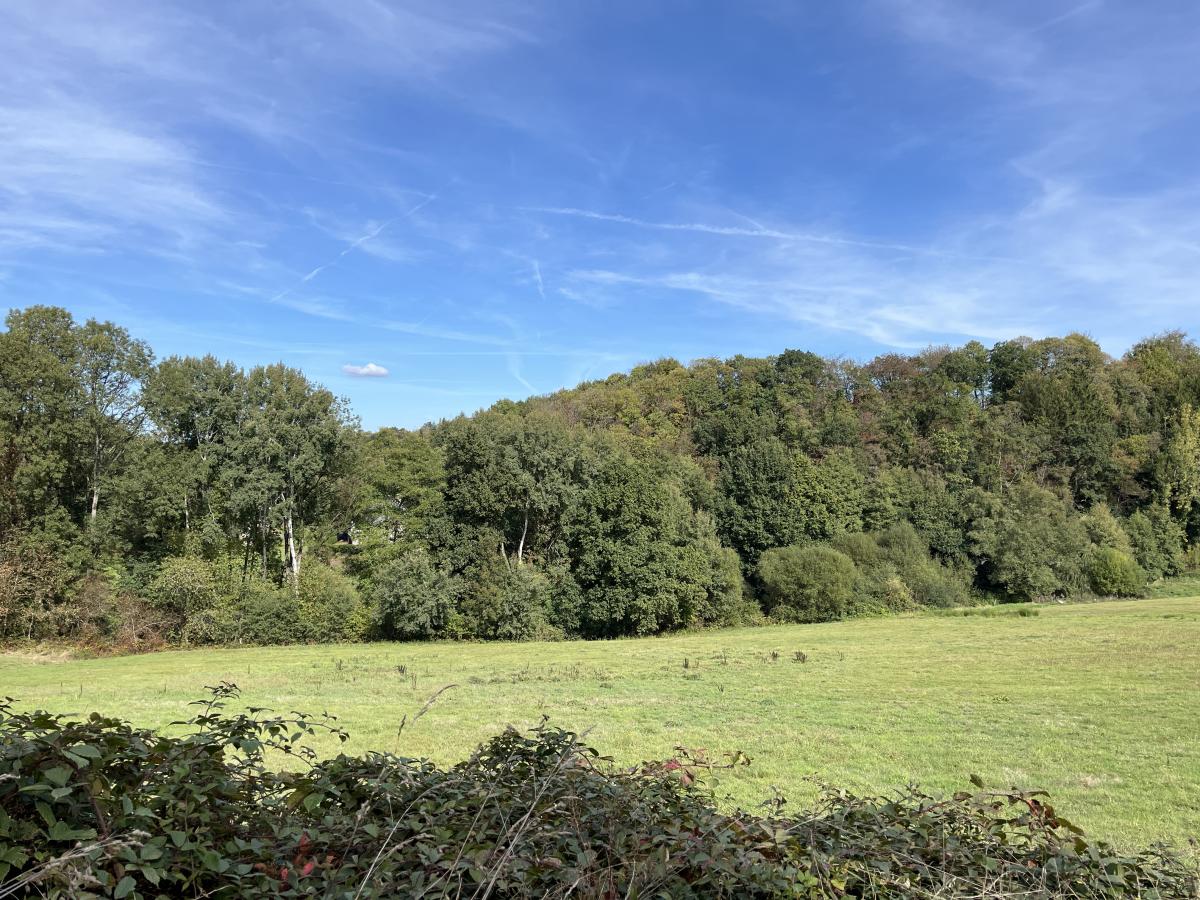 Bois/taillis · à Saint-James · 12 400 €
