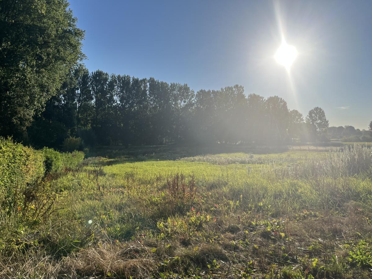 Réseau des notaires · à Le Boisle · 39 000 €
