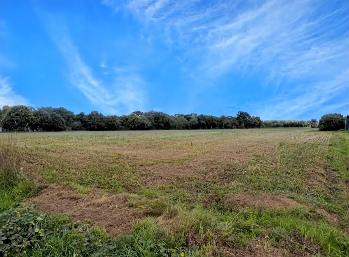 Terrain constructible sur lotissement · à Malestroit · 61 200 €