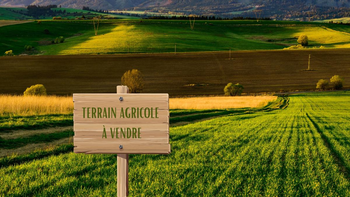 Terres agricoles · à Ploumilliau · 14 000 €