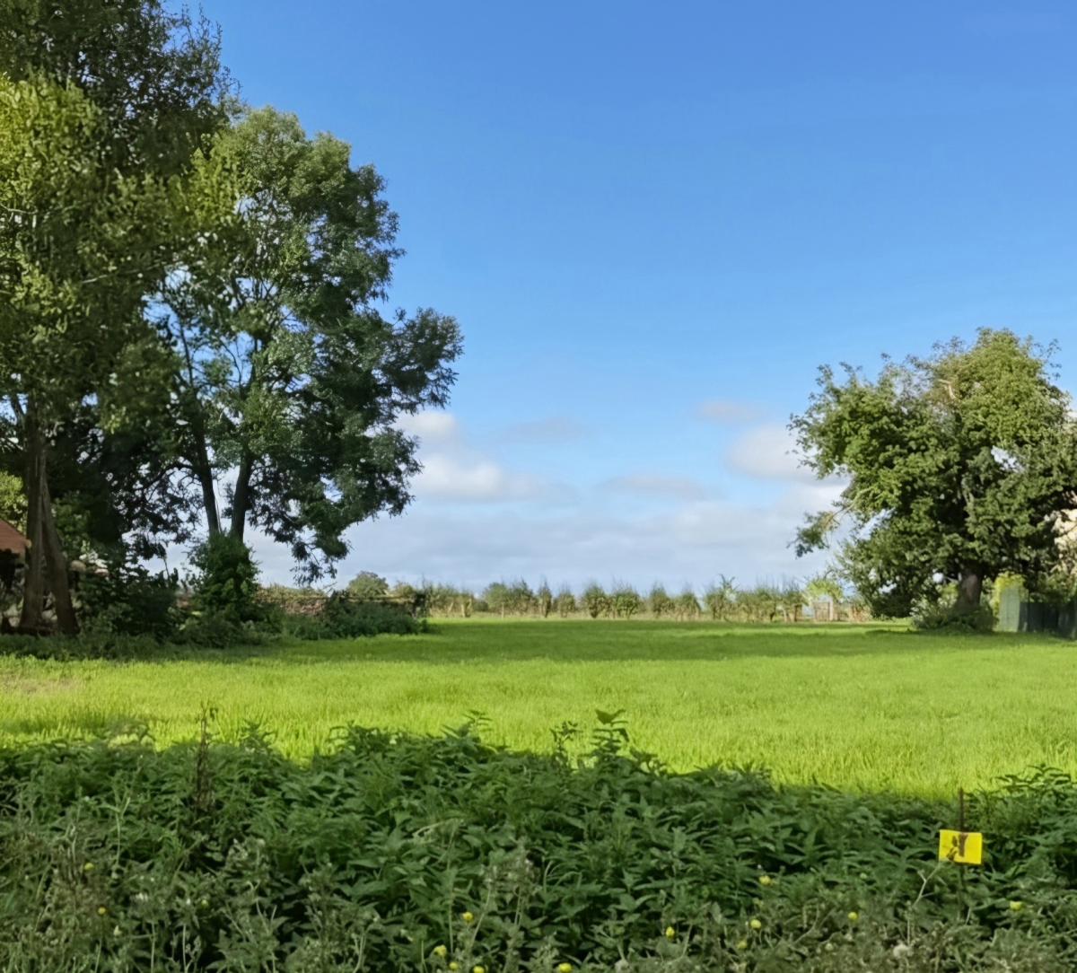Terrain 793 m² · à Nortkerque · 75 000 €