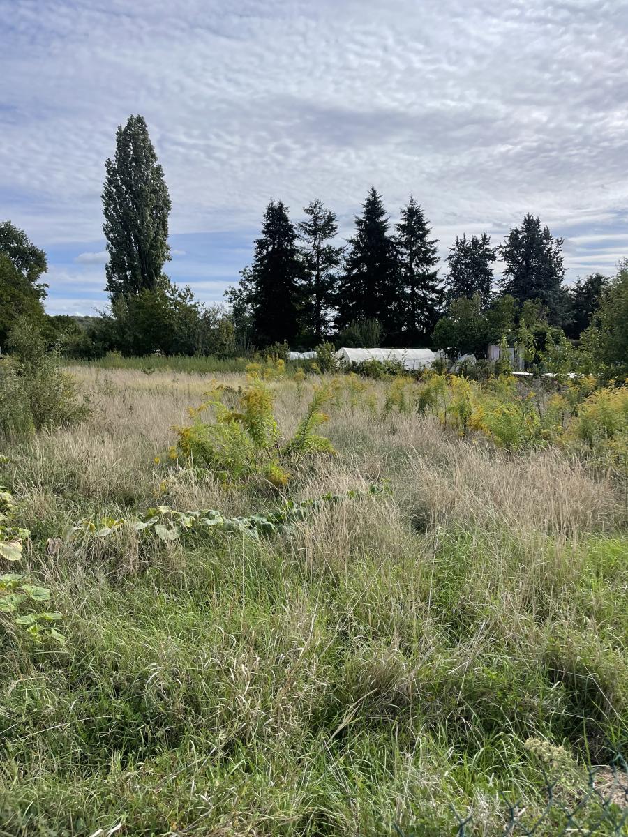 Terrain à bâtir dans un environnement calme et recherché · à Milly-la-Forêt · 178 400 €