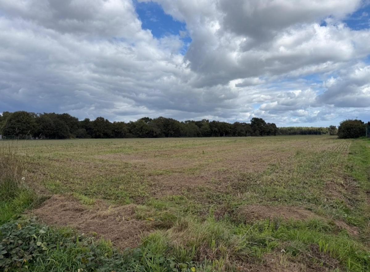 terrain constructible sur lotissement · à Malestroit · 62 250 €