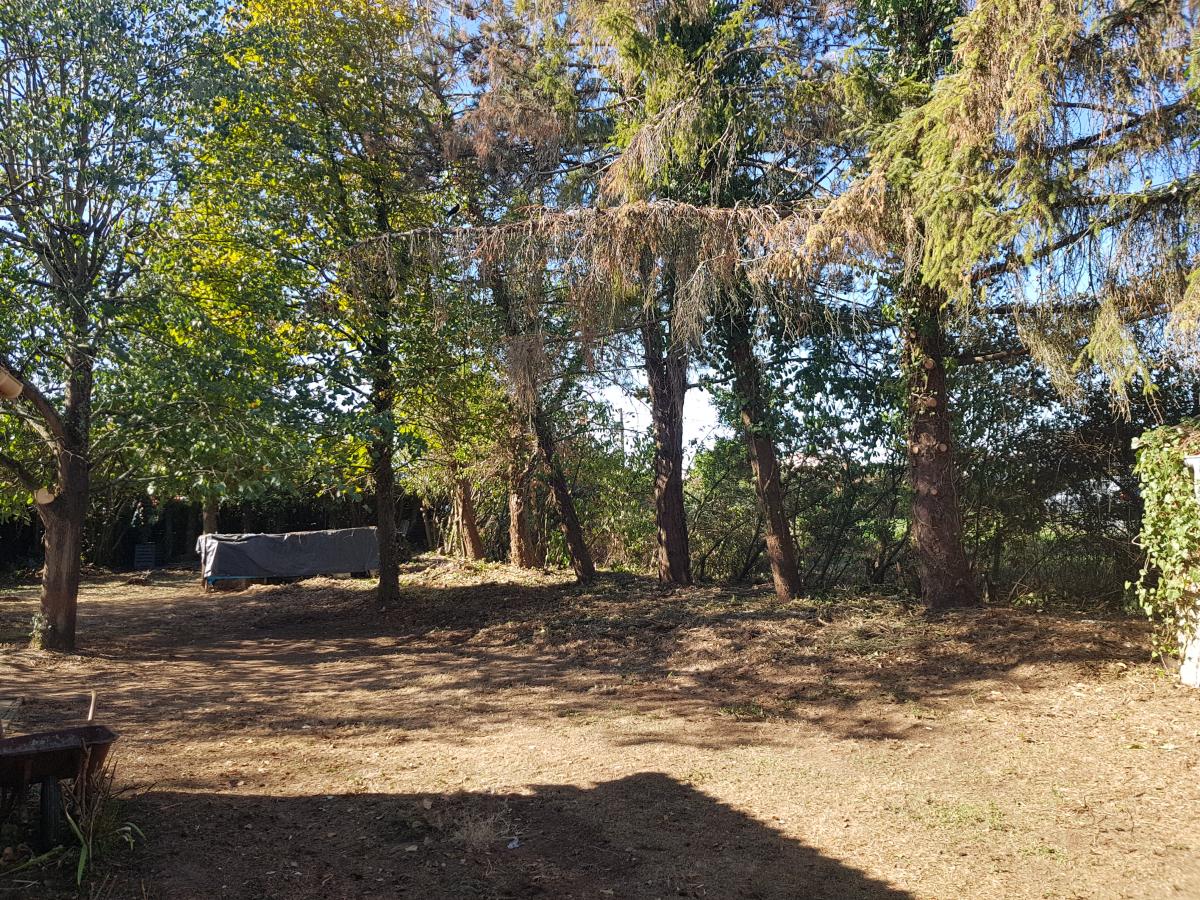 Terrain 660 m² · au Pallet · 98 440 €