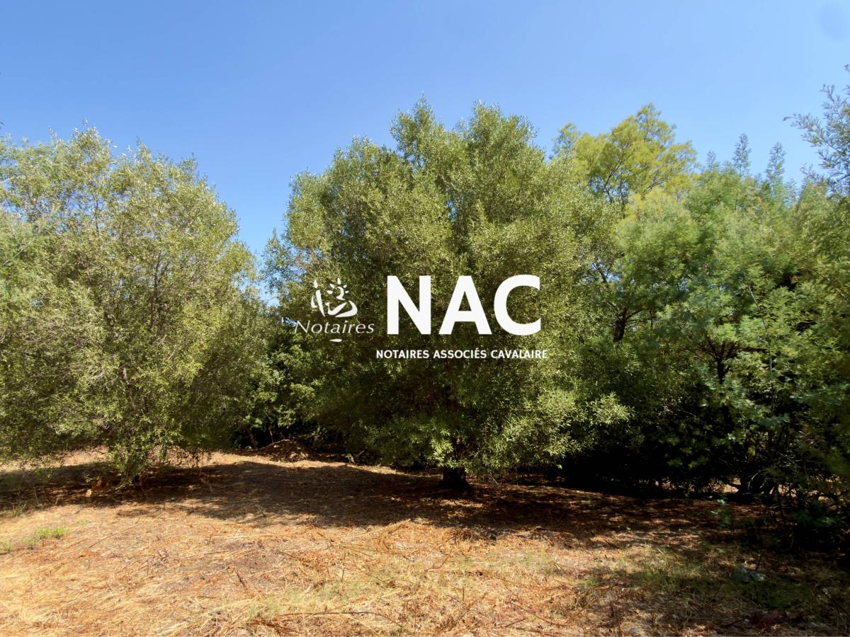 Réseau des notaires · à Cavalaire-sur-Mer · 489 000 €