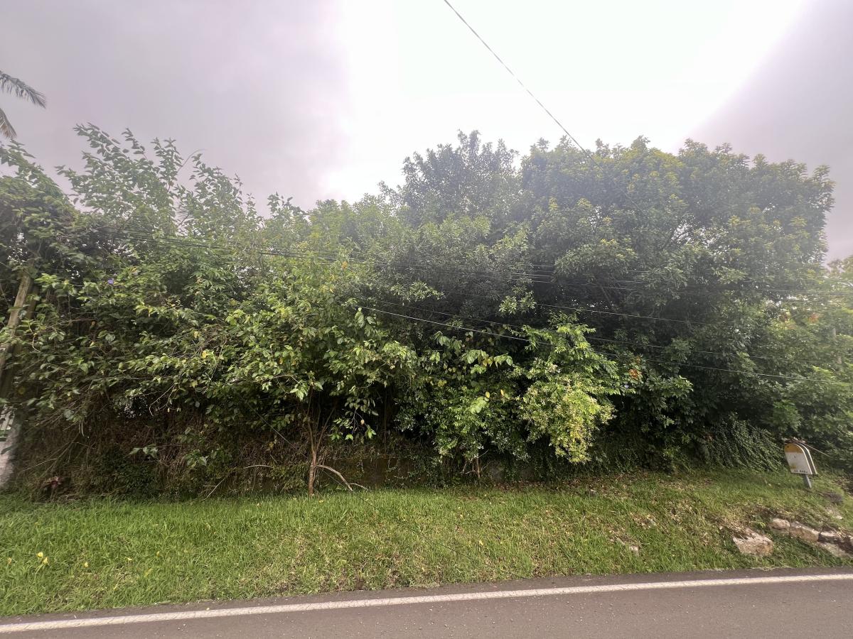Terrain 581 m² · à Petite-Île · 118 100 €