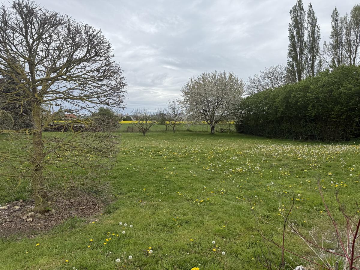 Terrain 478 m² · à Vecquemont · 478 m² · 63 000 €