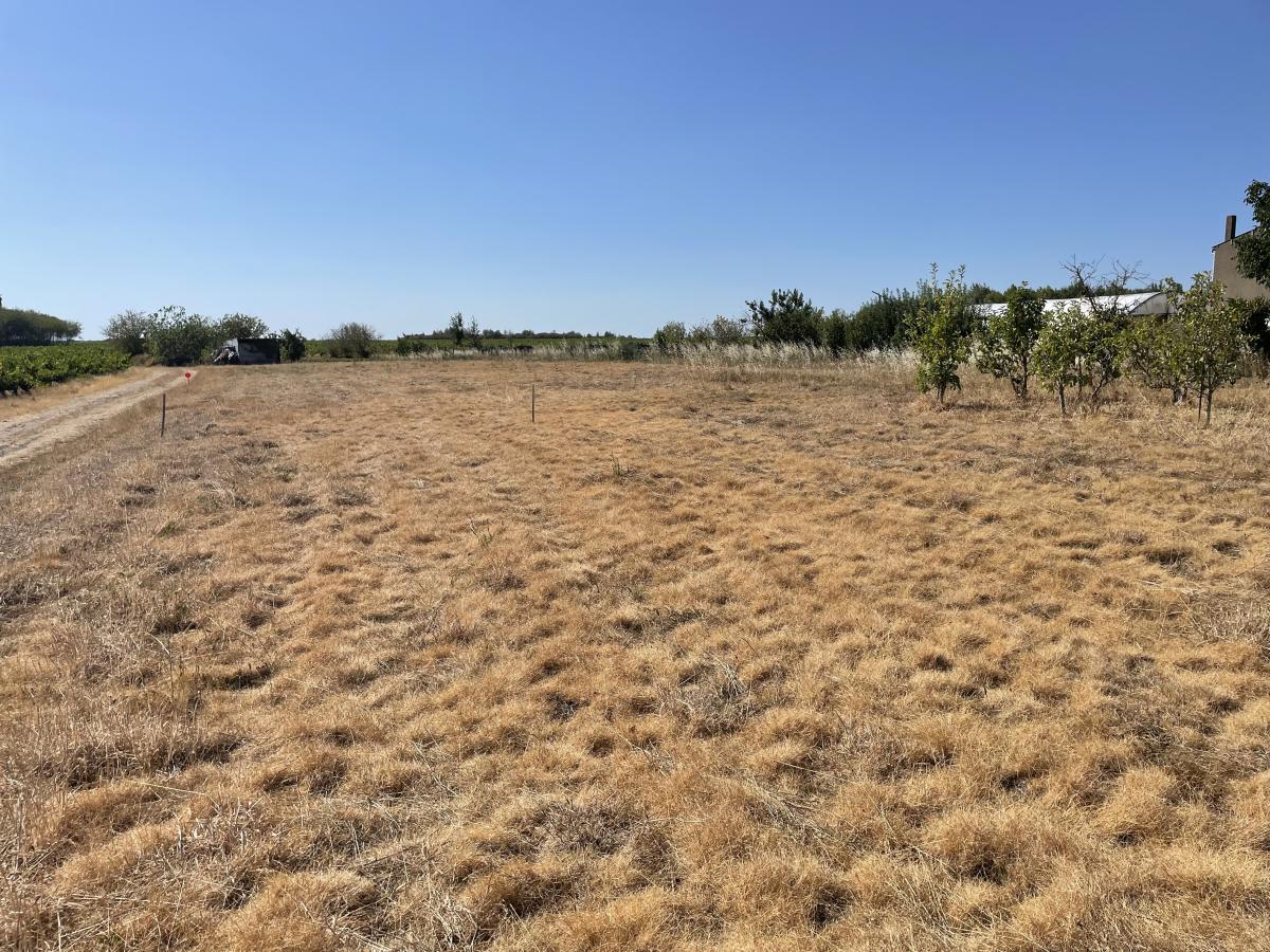 Réseau des notaires · à Maisdon-sur-Sèvre · 89 500 €