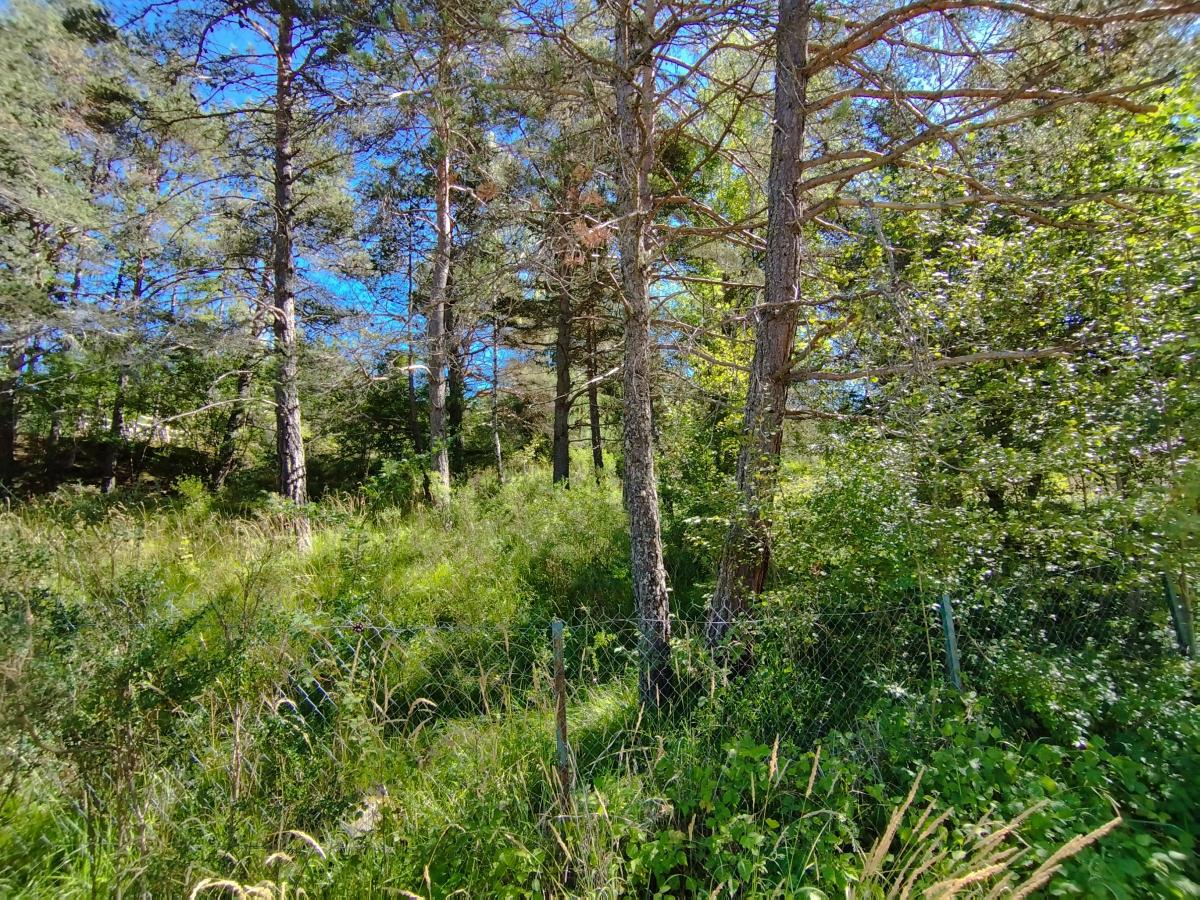 Réseau des notaires · à Seyne · 51 500 €