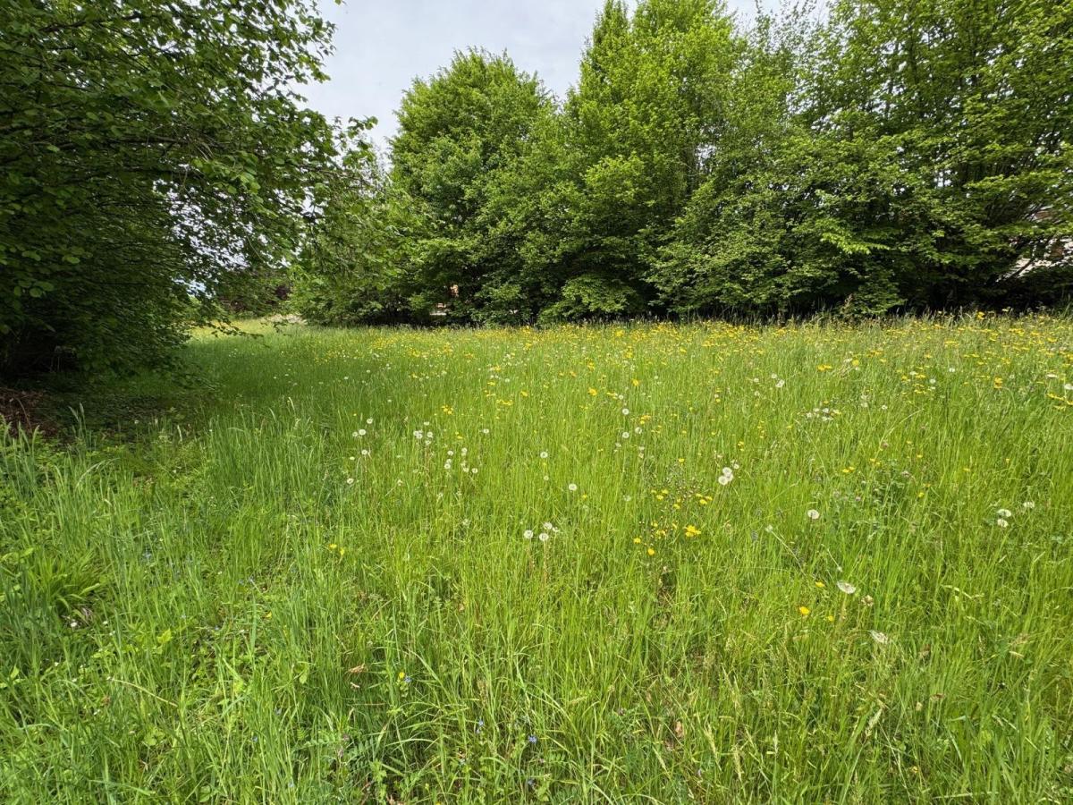 Terrain 732 m² · à Saint-Ours · 183 000 €