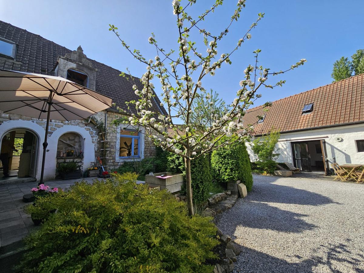 Maison 10 pièces 280 m² · à Beuvrequen · 280 m² · 555 000 €