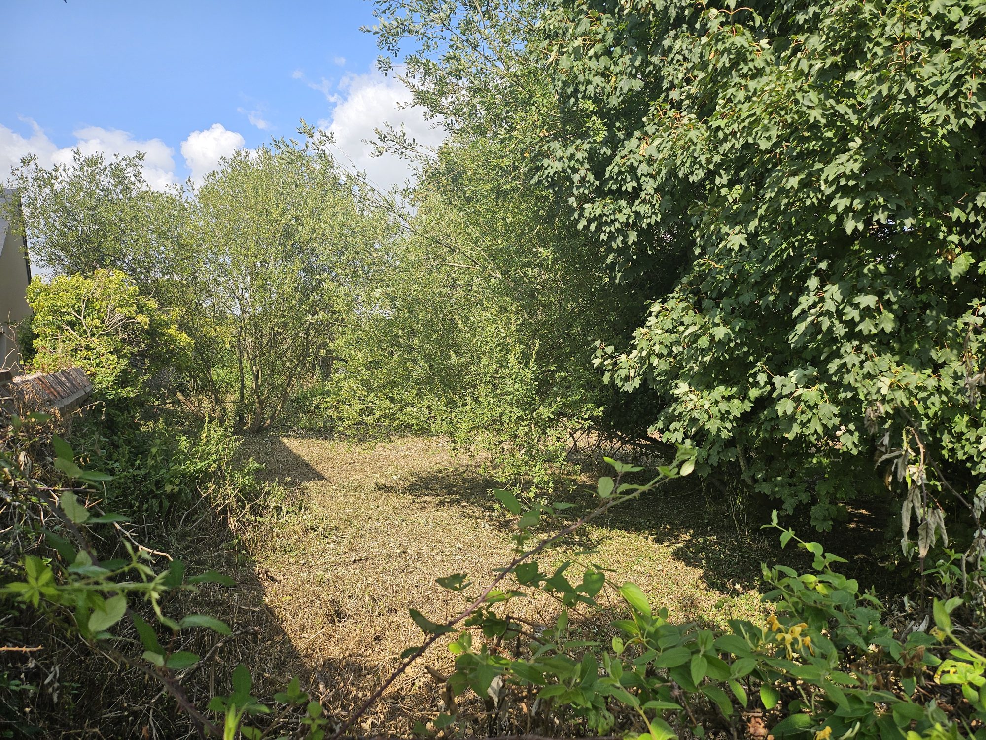 Terrain 1345 m² · à La Rivière-Saint-Sauveur · 350 000 €