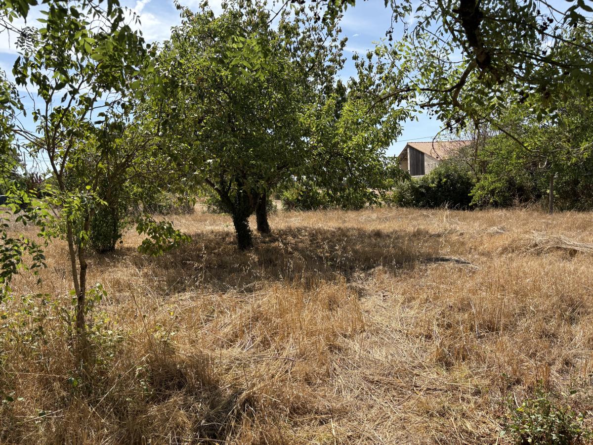 Réseau des notaires · à Coulon · 84 950 €