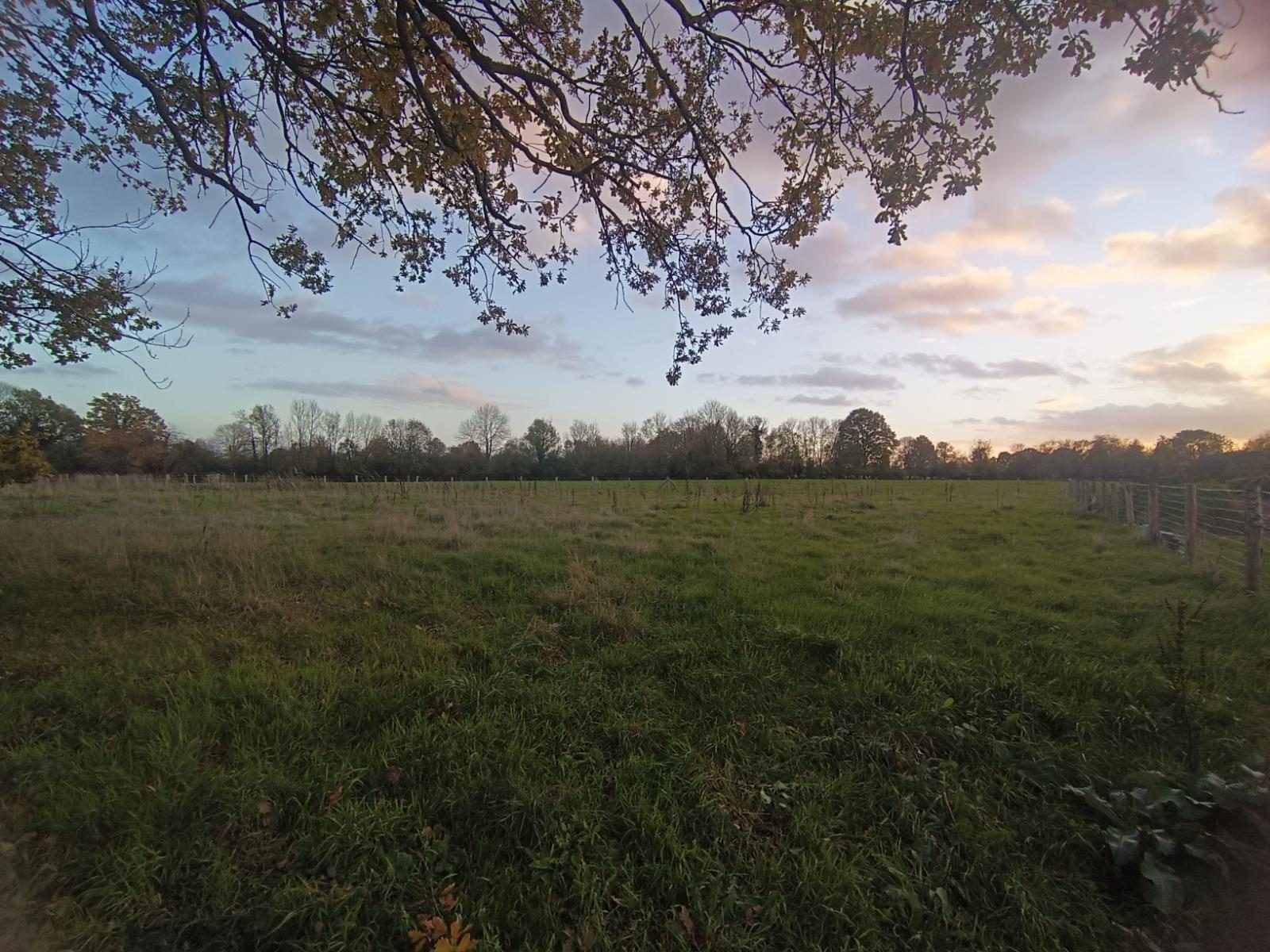A vendre : Terrain - 900m² - Saint-Philbert-des-Champs (14130) · 75 000 €