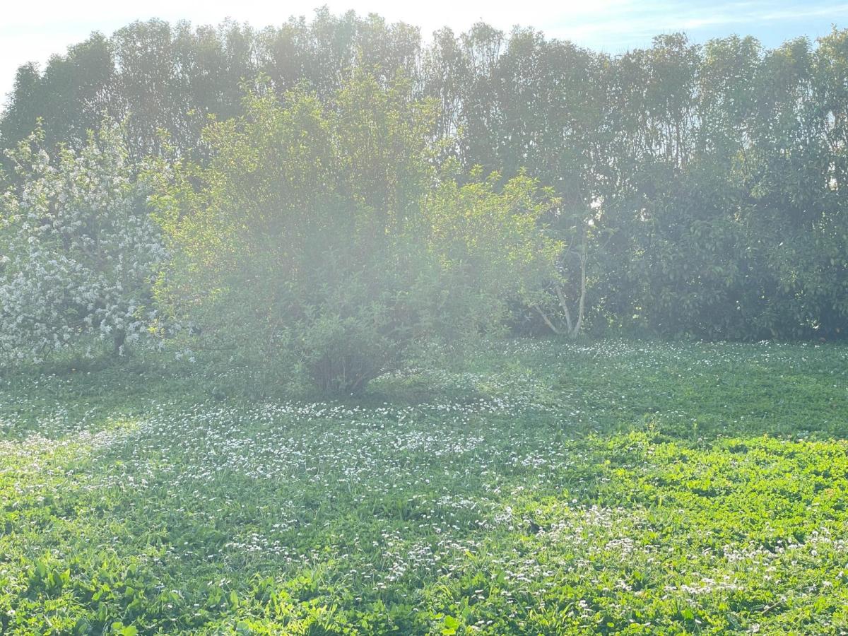 Terrain 401 m² · à Montroy · 105 000 €
